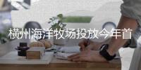 横州海洋牧场投放今年首批金鲳鱼苗