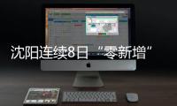 沈阳连续8日“零新增” 全力强化农村疫情防控