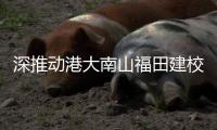 深推动港大南山福田建校