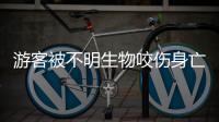 游客被不明生物咬伤身亡	，三亚通报救治详情