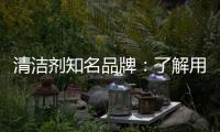 清洁剂知名品牌：了解用户需求 注重市场反馈