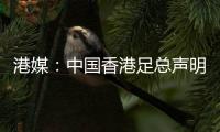 港媒：中国香港足总声明陈晋一已返回申花；无其他球员被召回