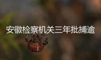 安徽检察机关三年批捕逾六千名涉黑涉恶犯罪嫌疑人