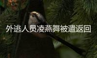 外逃人员凌燕舞被遣返回国