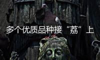 多个优质品种接“荔”上市
，斗门今年荔枝总产量将达4500吨