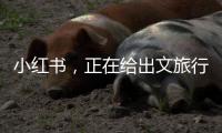 小红书
，正在给出文旅行业增长新解答