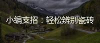 小编支招：轻松辨别瓷砖的品质