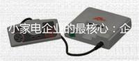 小家电企业的最核心
：企业家�、企业和产品