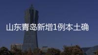 山东青岛新增1例本土确诊 系武汉确诊病例密接