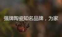 强牌陶瓷知名品牌�，为家居添加几何素色色彩