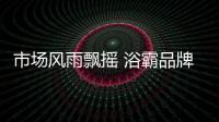 市场风雨飘摇 浴霸品牌改革应讲究章法