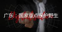 广东：国家重点保护野生动植物物种数量呈扩大态势