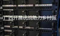 广西开展统战助力乡村振兴行动 着重提升乡村医疗卫生水平