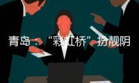 快排公司十年历程，霸屏兔 seo 的崛起与坚守