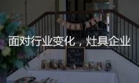 面对行业变化
，灶具企业的准确切入点在哪里?