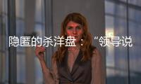 隐匿的杀洋盘：“领导说是帮外国用户保管虚拟币”