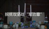 脱贫攻坚战“军功章”