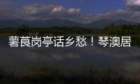 薯莨岗亭话乡愁
！琴澳居民共绘客家风情画卷