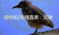话你知/光储直柔：低碳建筑秘籍