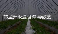 转型升级遇阻碍 导致艺术涂料产品品质得不到保证