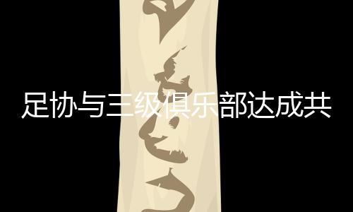 上同并获得国际足联支持