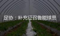 足协：补充征召鲁能球员刘洋入选国足集训名单
