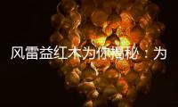 风雷益红木为你揭秘
：为何红木家具这么贵?