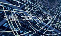 领航鲸“搬家”分几步？为啥要抹凡士林？