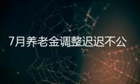 7月养老金调整迟迟不公布
，人社部却悄悄更新一条动态，意味着啥