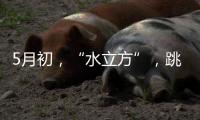 5月初，“水立方”
，跳水“梦之队”全主力出击
！