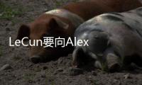 LeCun要向Alexandr Wang汇报!这是Meta新AI团队一些独家内部消息