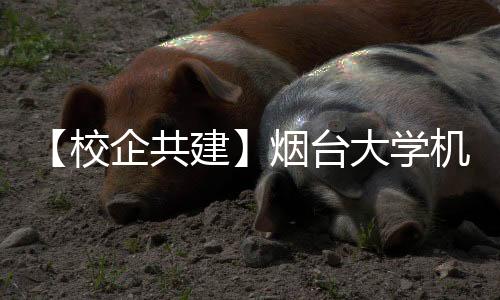 烟台圆集与技术人员深入交流