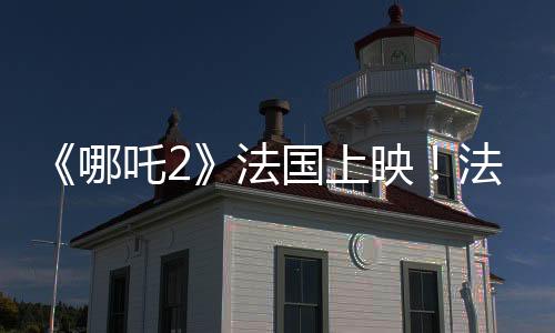 电影专业人士和观众的好评