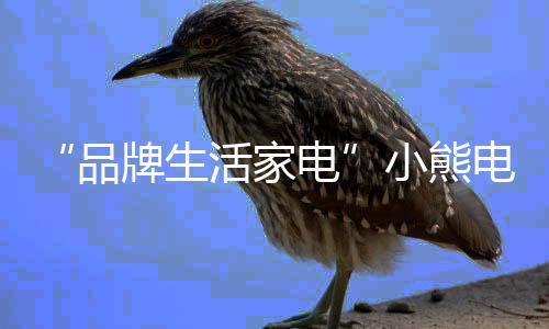 从一开始到现在