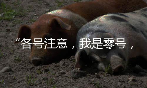 到处都是分钟他的书