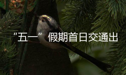 假期交通同比增长6.2%