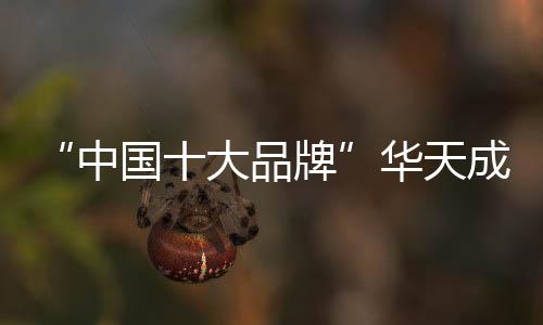 后台收到了上百个报名信息