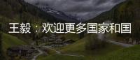 王毅：欢迎更多国家和国际组织加入“支持非洲发展伙伴倡议”