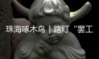 珠海啄木鸟｜路灯“罢工”大半年！平沙这条路夜晚漆黑一片