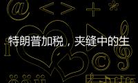 特朗普加税，夹缝中的生意人怎么办�？
