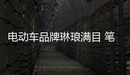 充电器正品充电器包装完好