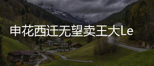 如果能有好的申花价格