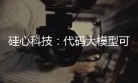 硅心科技
：代码大模型可使国有银行开发效率提升30%