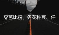 穿芭比粉
�、务花种豆
、任教哈佛……三位西方女领导人卸任生活秀丨智库视点