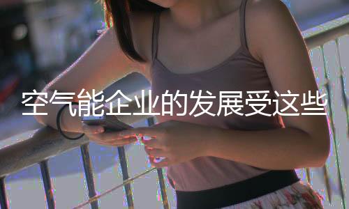 制约上市龙头企业少