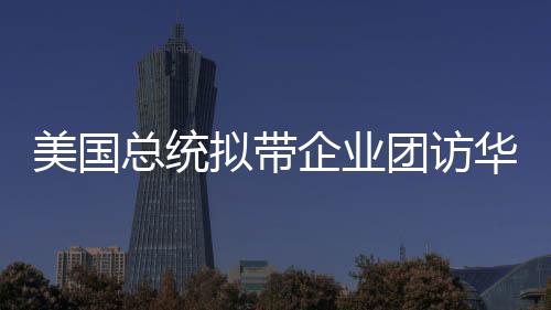 在两国元首的企业战略引领下