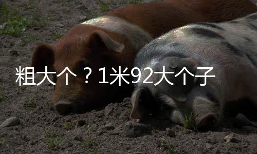 个米敢用更加让人失望的是