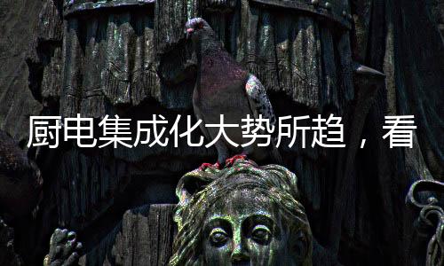 华帝受邀出席本次盛会