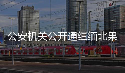 在公安机关严打高压态势下