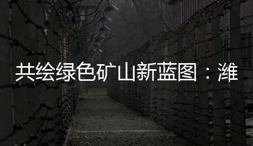 破解了矿山减排难题